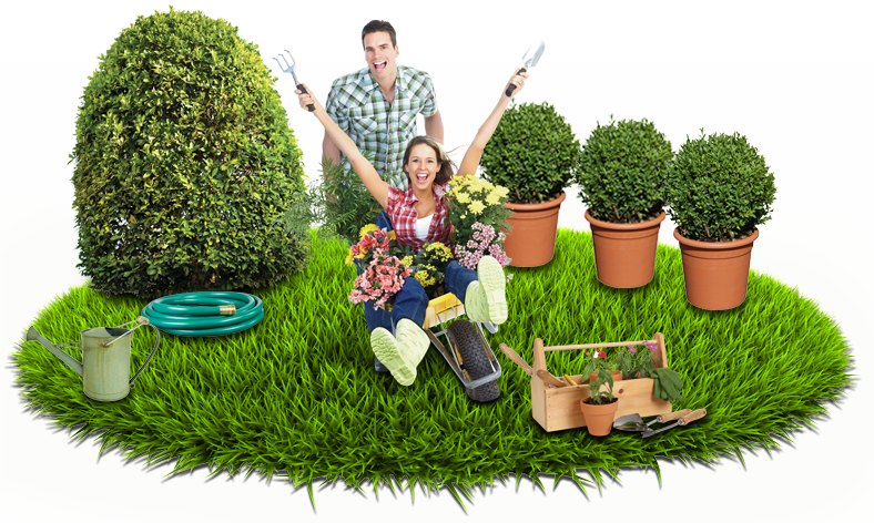Mica Nelspruit Home Page Design