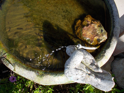 Setting up an irrigation system